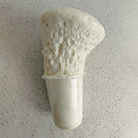 Groutación hidrófoba de un solo componente