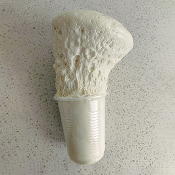 Groutación hidrófoba de un solo componente